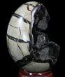 Septarian Dragon Egg Geode - Black Calcite Crystals #33992-1